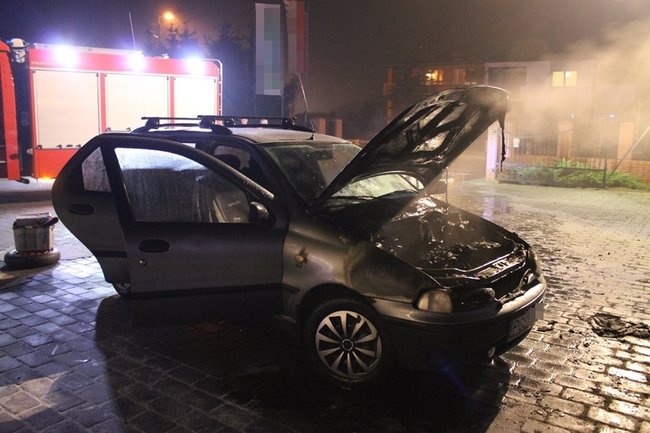 Nieprzyjemna niespodzianka - zdjęcia