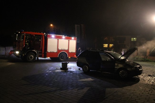 Nieprzyjemna niespodzianka - zdjęcia