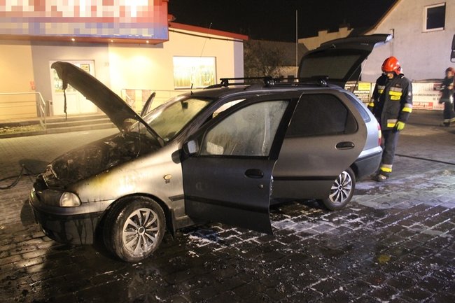 Nieprzyjemna niespodzianka - zdjęcia