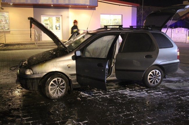 Nieprzyjemna niespodzianka - zdjęcia