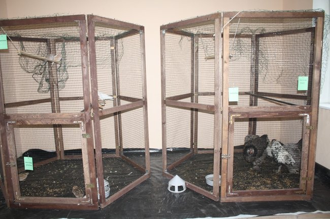 Ludzie z pasją - zdjęcia