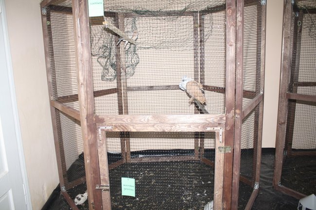 Ludzie z pasją - zdjęcia