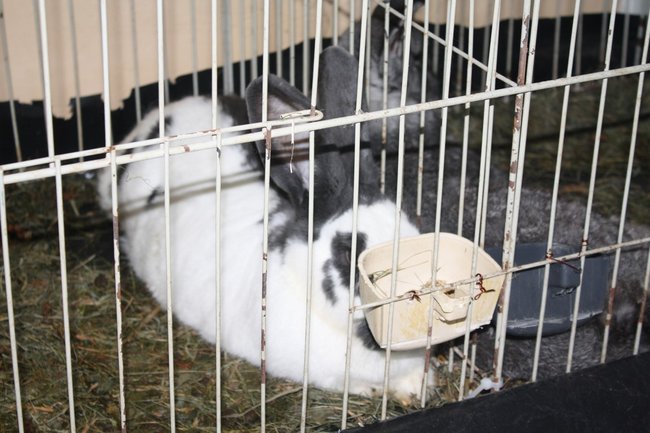 Ludzie z pasją - zdjęcia