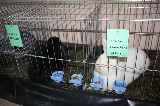 Ludzie z pasją - zdjęcia