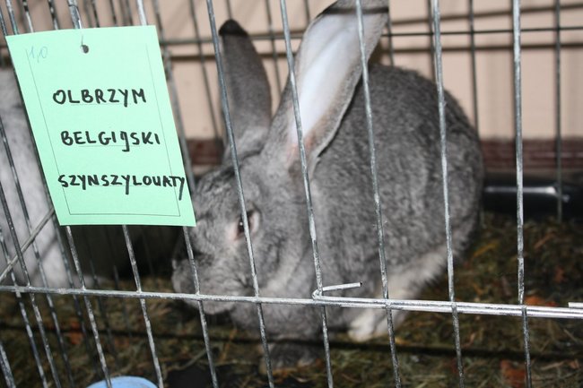 Ludzie z pasją - zdjęcia