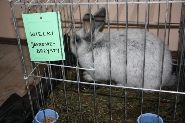 Ludzie z pasją - zdjęcia