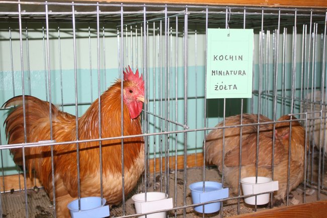 Ludzie z pasją - zdjęcia