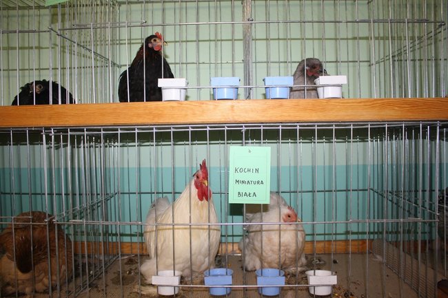 Ludzie z pasją - zdjęcia