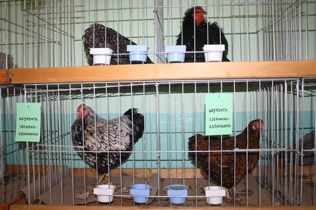 Ludzie z pasją - zdjęcia