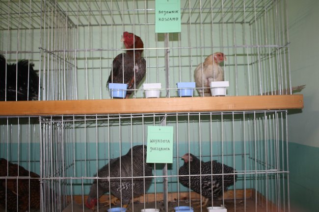 Ludzie z pasją - zdjęcia