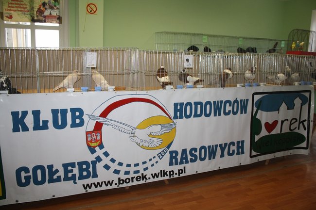 Ludzie z pasją - zdjęcia