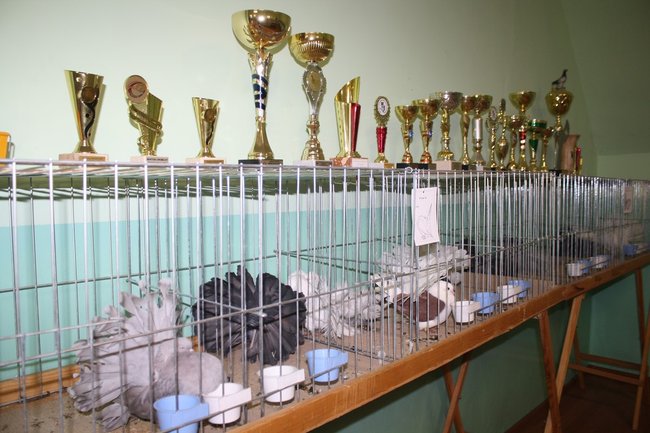 Ludzie z pasją - zdjęcia