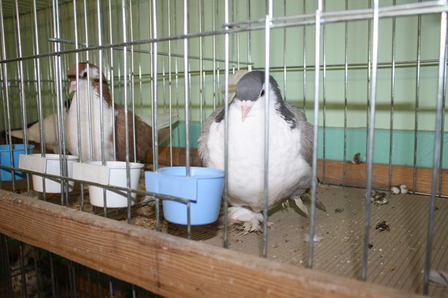 Ludzie z pasją - zdjęcia