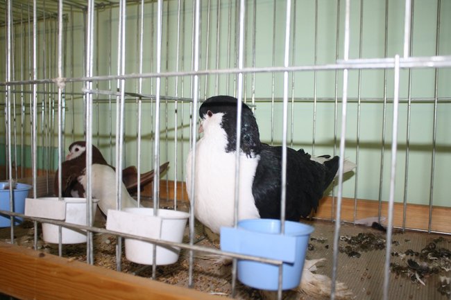 Ludzie z pasją - zdjęcia