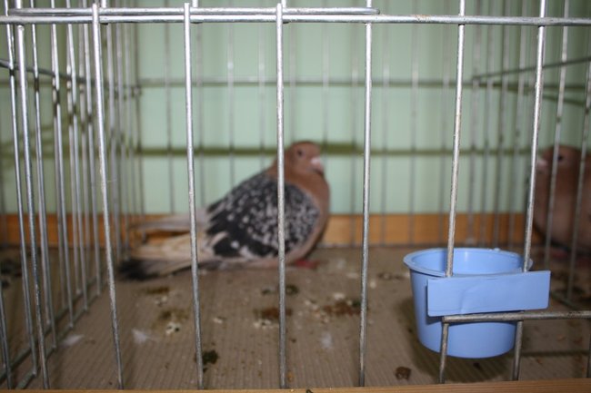 Ludzie z pasją - zdjęcia