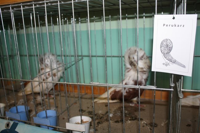 Ludzie z pasją - zdjęcia