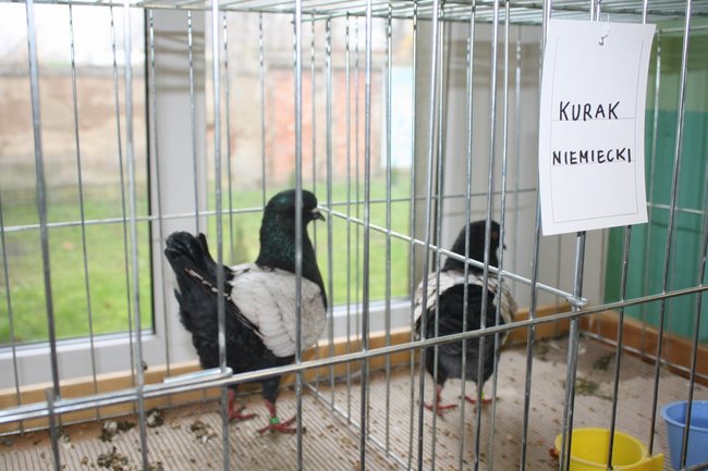 Ludzie z pasją - zdjęcia