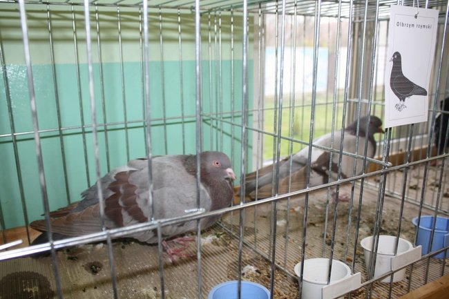 Ludzie z pasją - zdjęcia