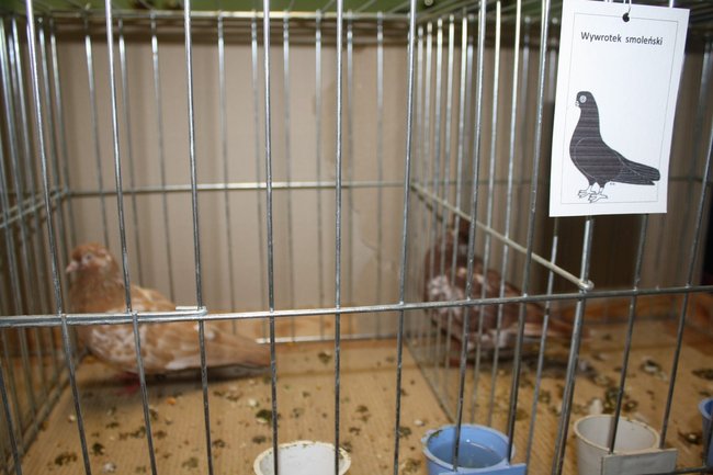 Ludzie z pasją - zdjęcia