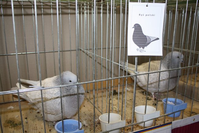 Ludzie z pasją - zdjęcia