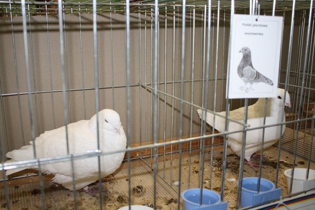 Ludzie z pasją - zdjęcia