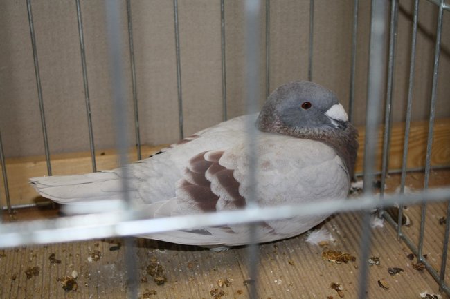 Ludzie z pasją - zdjęcia