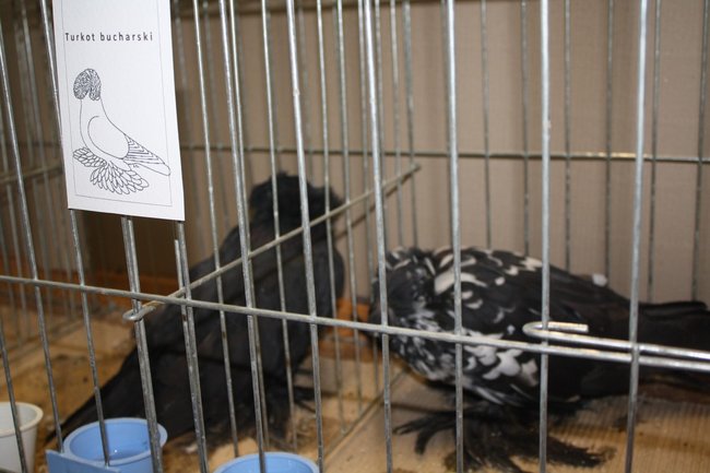 Ludzie z pasją - zdjęcia