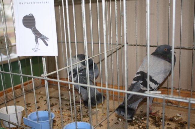 Ludzie z pasją - zdjęcia