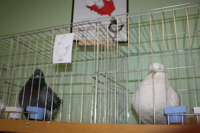 Ludzie z pasją - zdjęcia