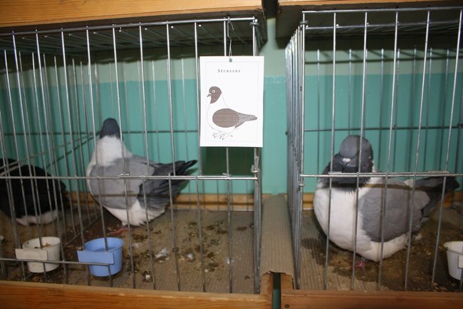 Ludzie z pasją - zdjęcia