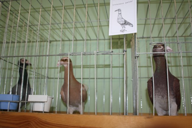 Ludzie z pasją - zdjęcia