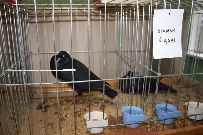 Ludzie z pasją - zdjęcia