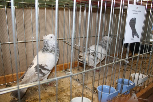 Ludzie z pasją - zdjęcia