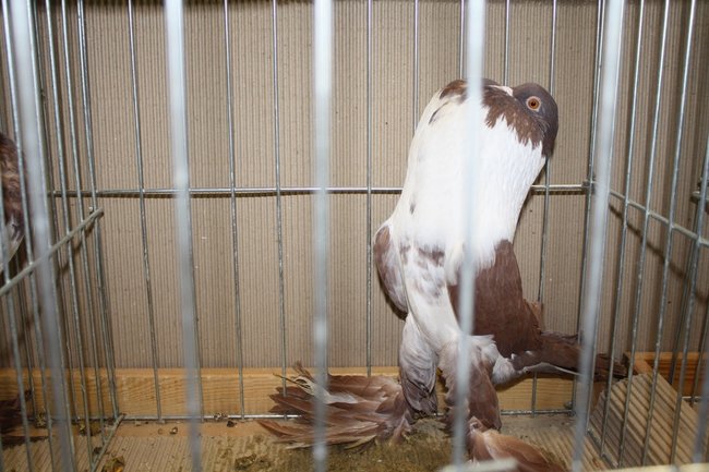 Ludzie z pasją - zdjęcia