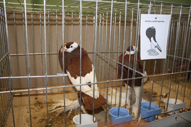 Ludzie z pasją - zdjęcia