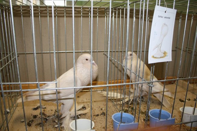 Ludzie z pasją - zdjęcia