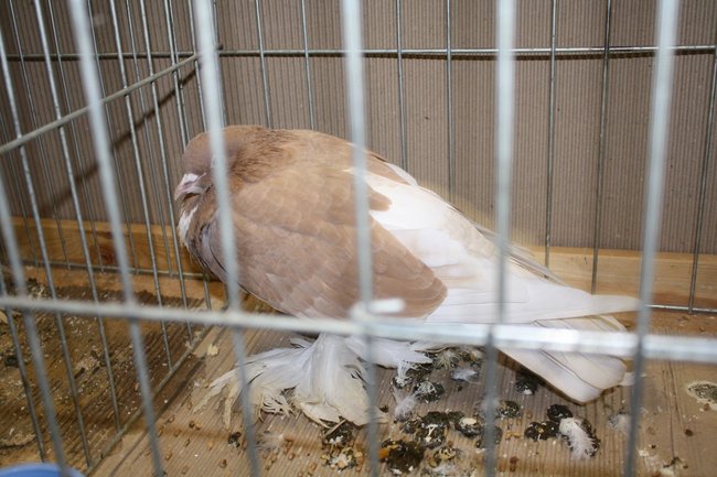 Ludzie z pasją - zdjęcia