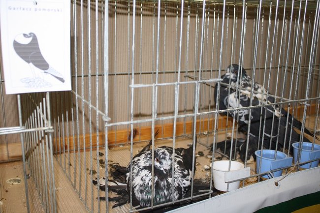 Ludzie z pasją - zdjęcia