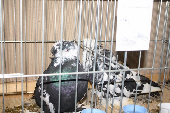 Ludzie z pasją - zdjęcia