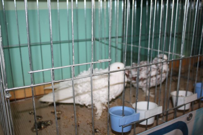 Ludzie z pasją - zdjęcia