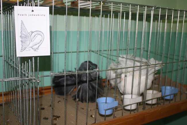 Ludzie z pasją - zdjęcia