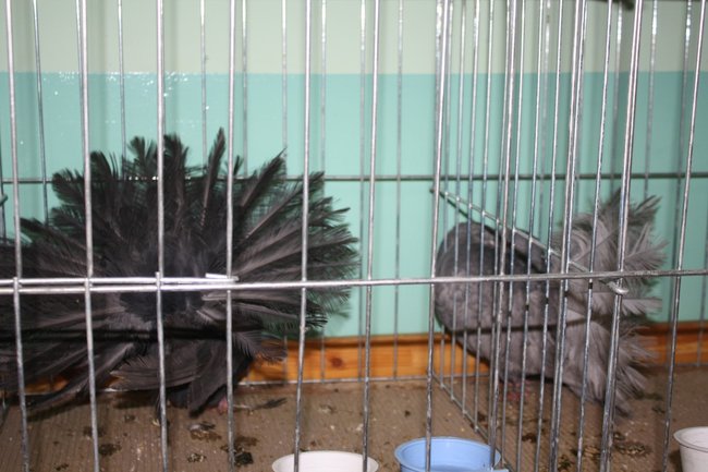 Ludzie z pasją - zdjęcia