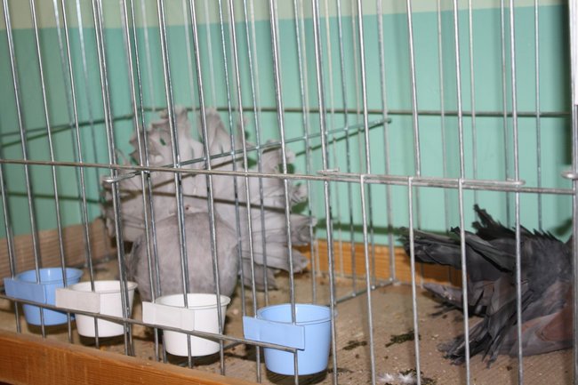 Ludzie z pasją - zdjęcia