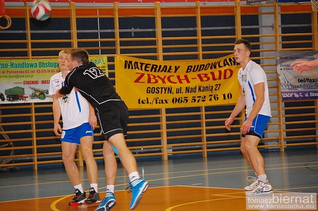 Wilki górą - zdjęcia