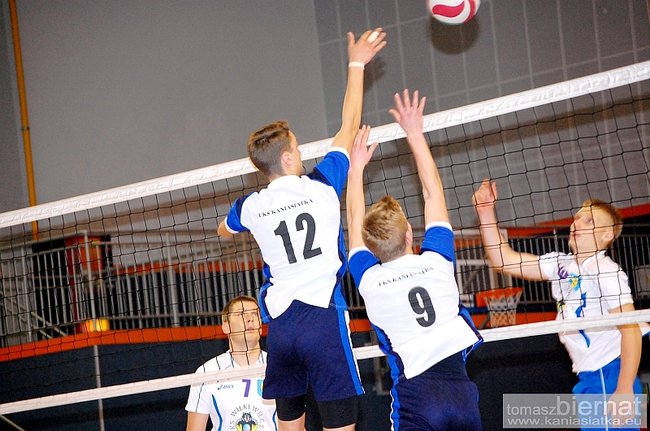 Wilki górą - zdjęcia