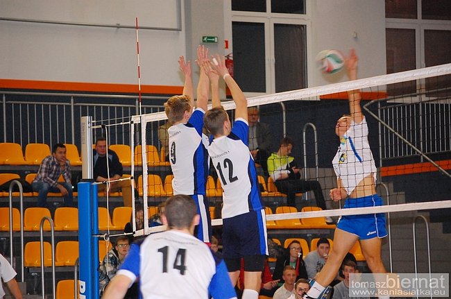 Wilki górą - zdjęcia