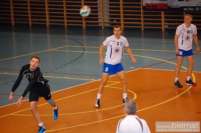 Wilki górą - zdjęcia