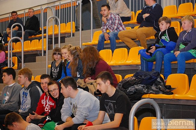 Wilki górą - zdjęcia