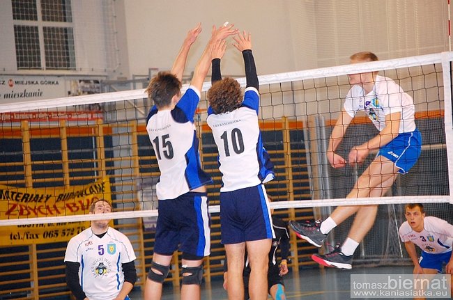 Wilki górą - zdjęcia