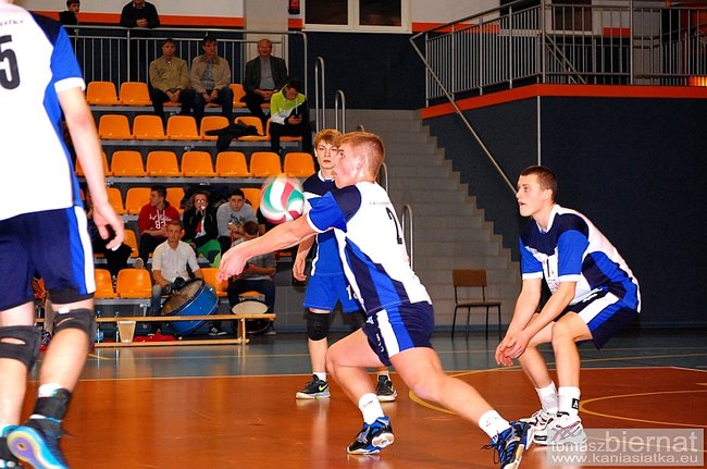 Wilki górą - zdjęcia